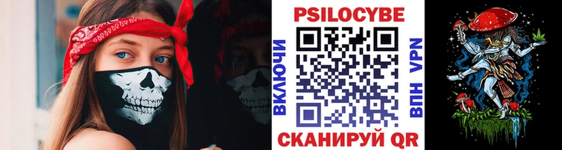 закладка  дарк нет как зайти  Галлюциногенные грибы Psilocybine cubensis  Грозный 